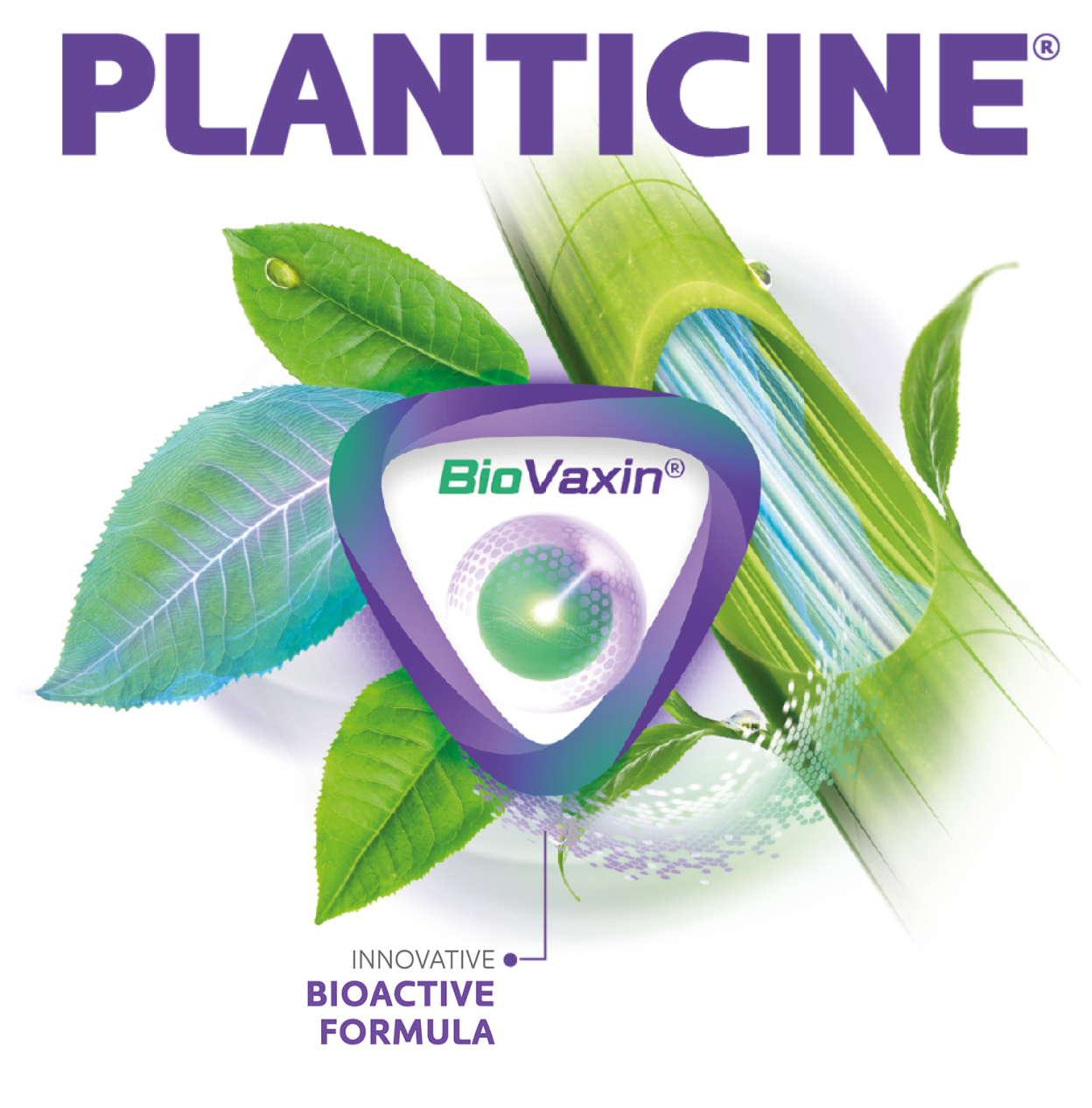 planticine intermag