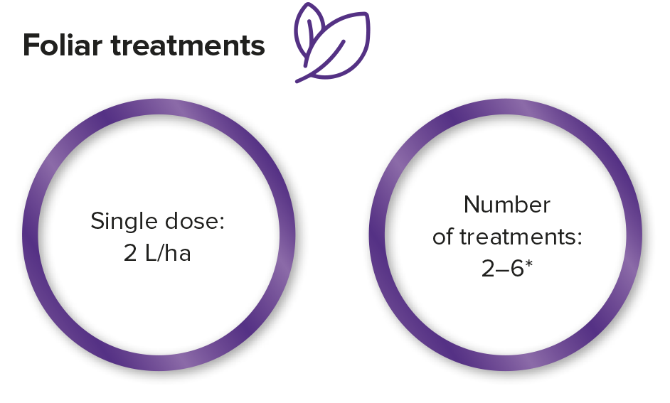 planticine uprawy