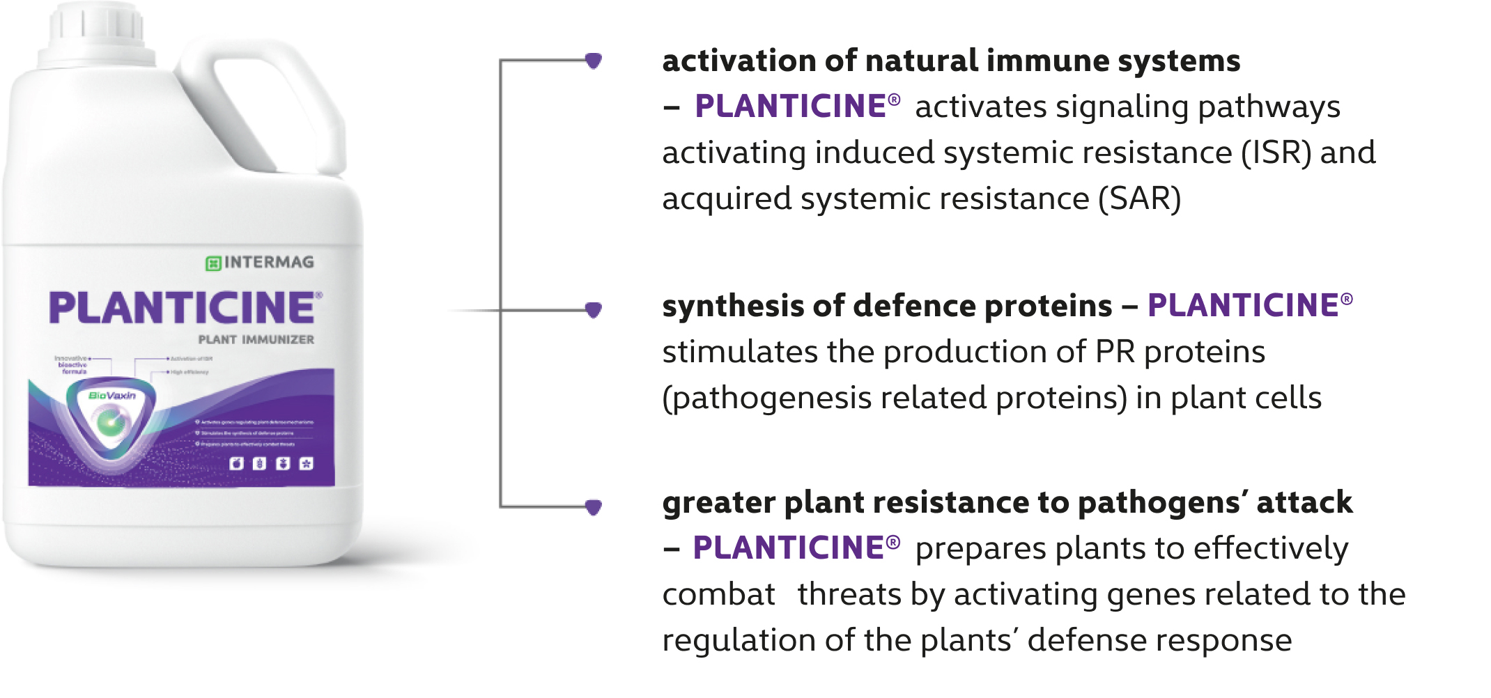 intermag planticine